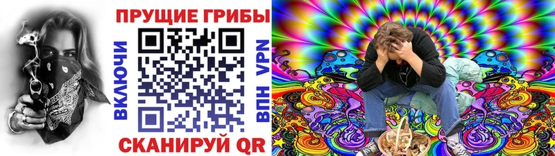Псилоцибиновые грибы ЛСД  shop как зайти  Зеленодольск  дарнет шоп  KRAKEN вход 